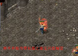 ֿ˽֮