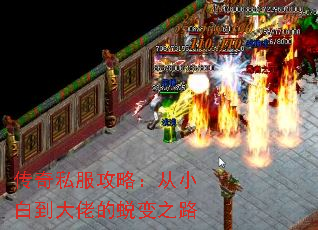 ˽ԣС׵еɱ֮·