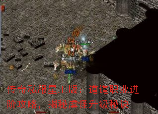 ˽棺ְҵ׹ԣŰؾ
