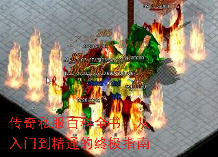 ˽ٿȫ飺ŵͨռָ