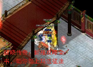 棺·ȫ飬̤귨;