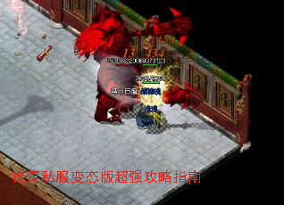 ˽̬泬ǿָ