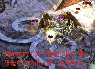 Ѫȼ˽ǿ𺽹ָ;