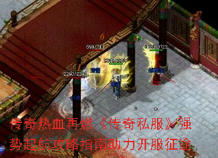 Ѫȼ˽ǿ𺽹ָ;