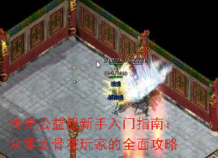 湫ָϣ㵽ǻҵȫ湥
