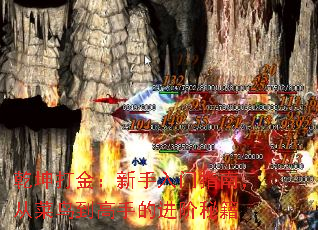 ǬָϣӲ񵽸ֵĽؼ