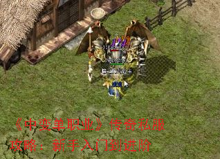 б䵥ְҵ˽ԣŵ