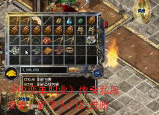 б䵥ְҵ˽ԣŵ