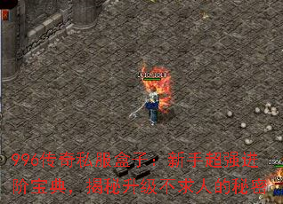 996˽ӣֳǿױ䣬˵