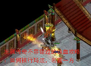 쭴治ݴѪԣκ귨һ