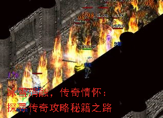 ѩڣ黳̽Ѱ湥ؼ֮·