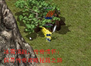 ѩڣ黳̽Ѱ湥ؼ֮·