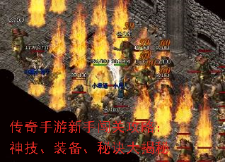 ִعԣ񼼡װؾ