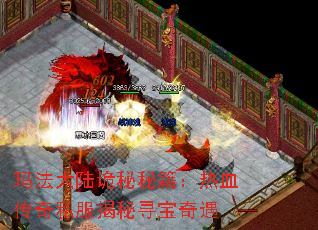 귨½ؼѪ˽Ѱ
