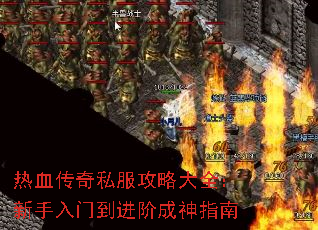 Ѫ˽Դȫŵ׳ָ