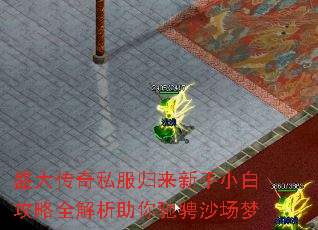 ʢ˽С׹ȫ۳ɳ