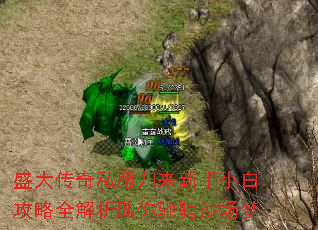 ʢ˽С׹ȫ۳ɳ