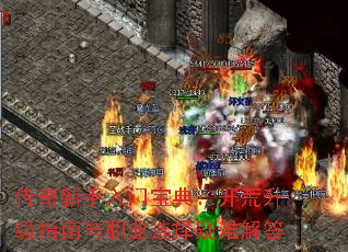 ű䣺ְָҵѡѽ