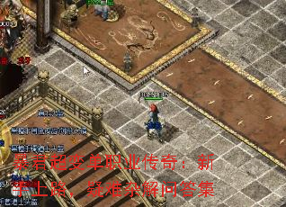 䵥ְҵ棺·ӽʴ