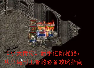 С촫桷ֽؼӲߵıرָ