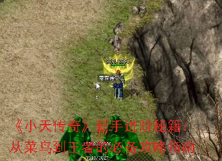 С촫桷ֽؼӲߵıرָ