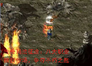 귨;˴ְҵɨɳ᲻֮