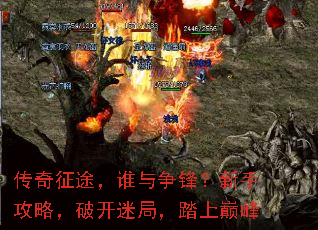 ;˭棿ֹԣƿԾ֣̤۷