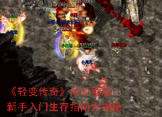 䴫桷ָϴ