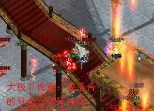 Ʒ棺ʺϵĵ¼ѡָ