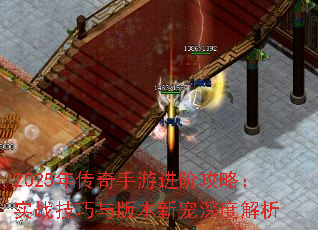 2025괫ν׹ԣʵս汾³Ƚ
