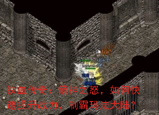 Ѫ棺֮ŭοսư귨½