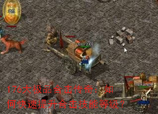 176Ʒϻ棺οϻܵȼ
