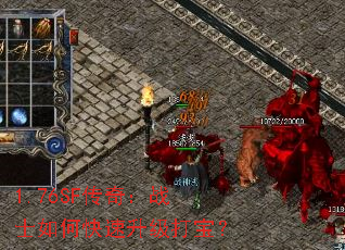 1.76SF棺սʿο򱦣