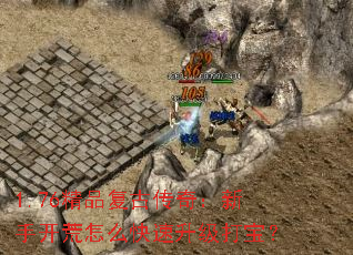 1.76ƷŴ棺ֿô򱦣