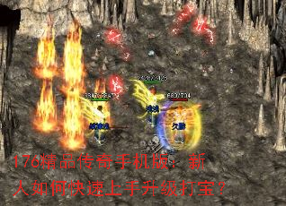 176Ʒֻ棺ο򱦣