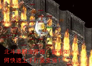 ְҵοִǿ