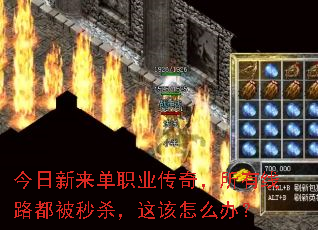 ְҵ棬·ɱô죿