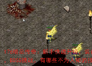 176Ʒ棺ֿװȡBOSSսЩΪ֪ļɣ