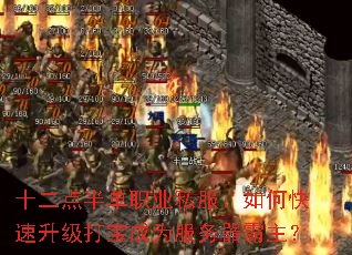 ʮ뵥ְҵ˽ο򱦳Ϊ
