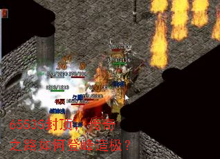 65535ⶥ֮·εǷ켫