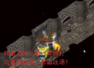 SDҴOL˽δǿ壬ưս