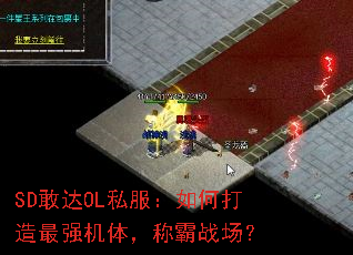 SDҴOL˽δǿ壬ưս