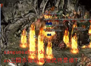 sanguosahweiduanɱ΢ǿ佫˭