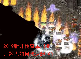 2019¿浥ְҵɢοɣ