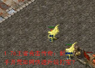 1.76ߺϻ棺ֿο򱦣