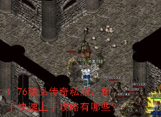 1.76Ʒ˽ֹֿЩ