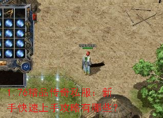 1.76Ʒ˽ֹֿЩ