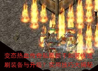 ̬Ѫ˽οˢװʵüɴ