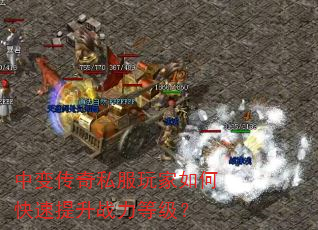 б䴫˽οսȼ