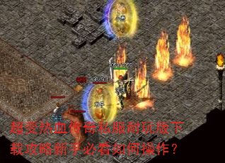 Ѫ˽عֱؿβ